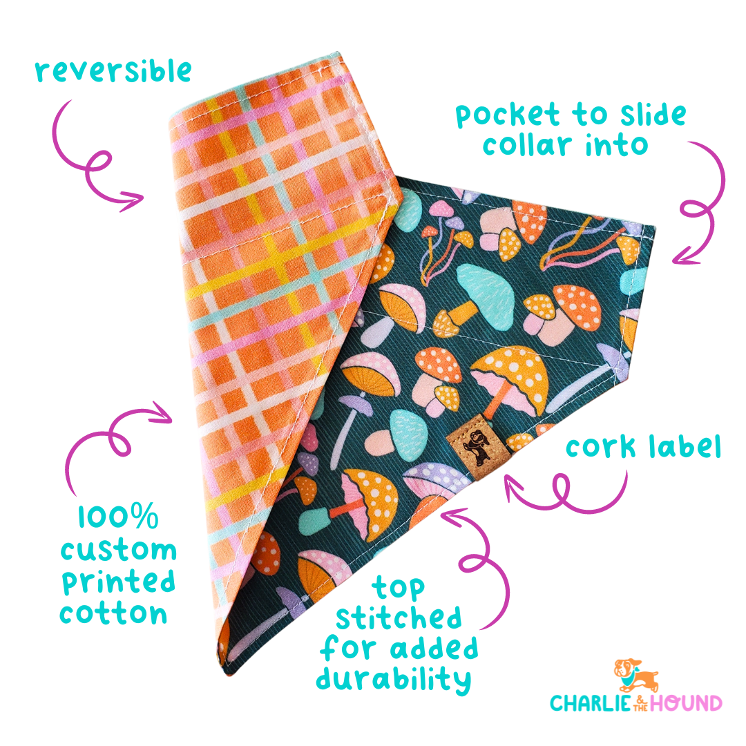 Blue Drinking Buddy - Reversible Dog Collar Bandana