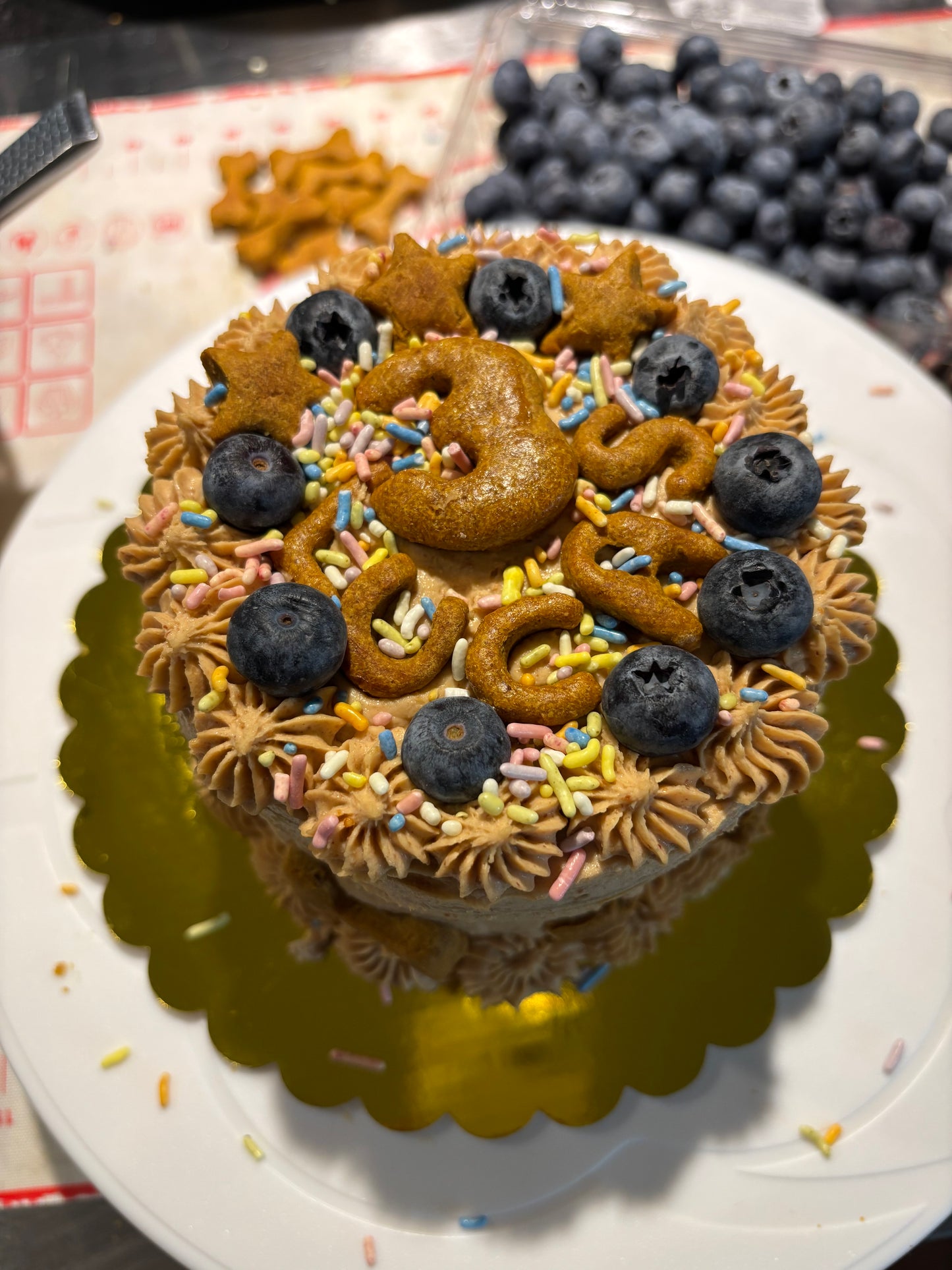 Custom Pup Birthday Two-tiered Celebration Cakes!