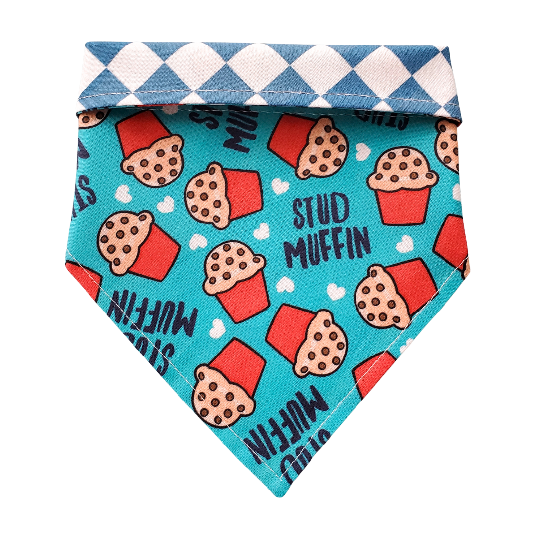 Stud Muffin - Reversible Dog Collar Bandana