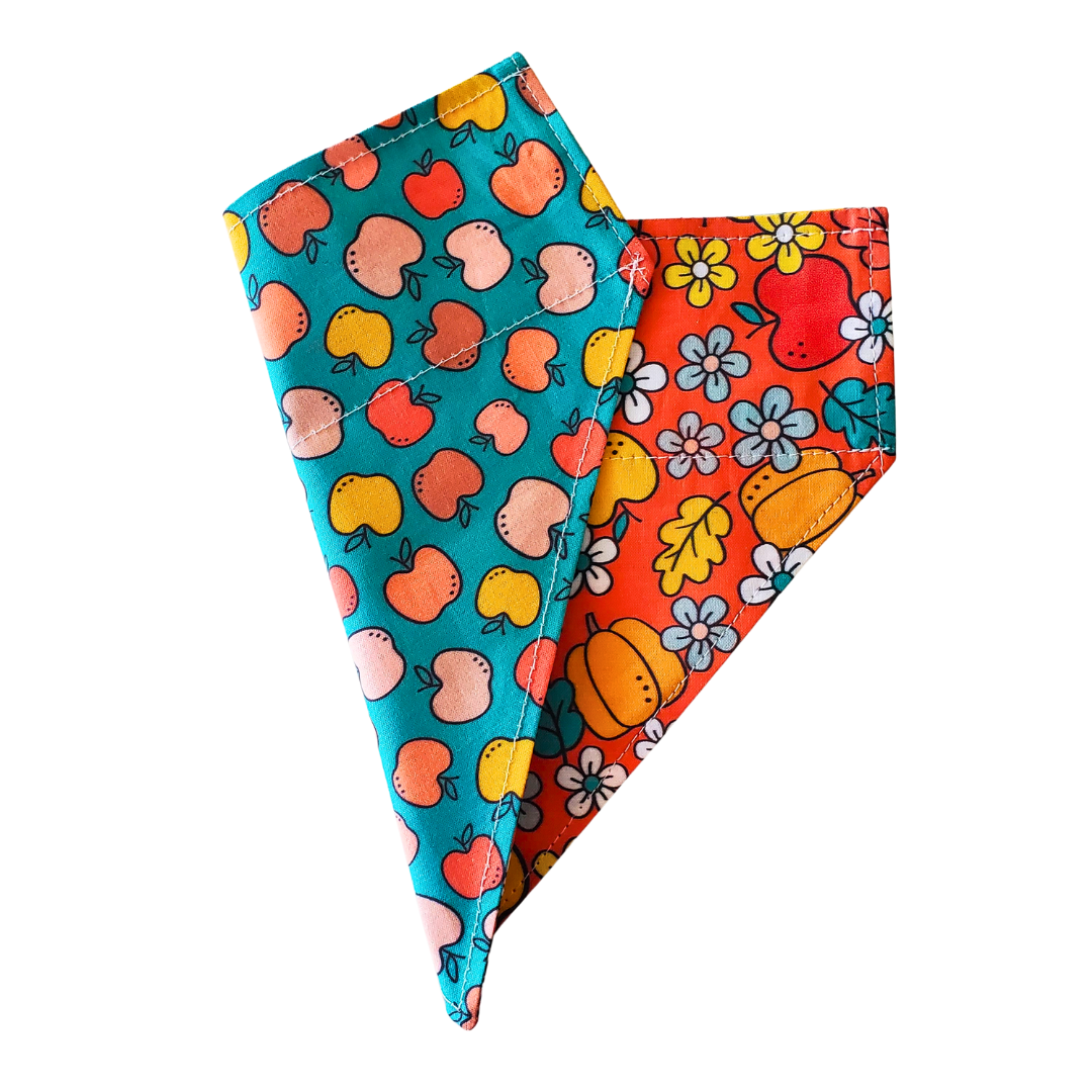 Fall Apple & Pumpkin - Reversible Dog Collar Bandana