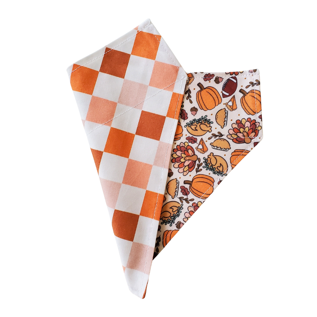 Thanksgiving Day - Reversible Dog Collar Bandana