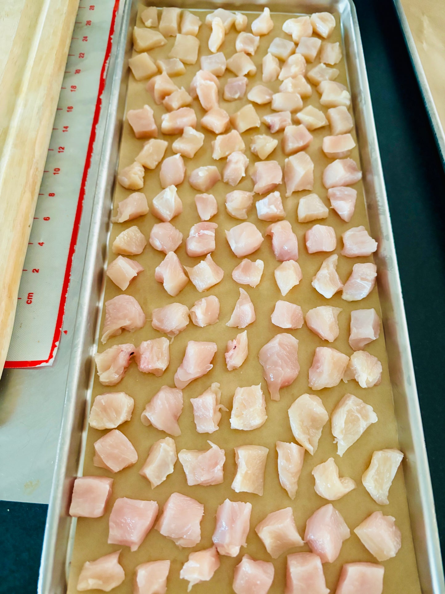 Freeze-Dried Chicken Breast