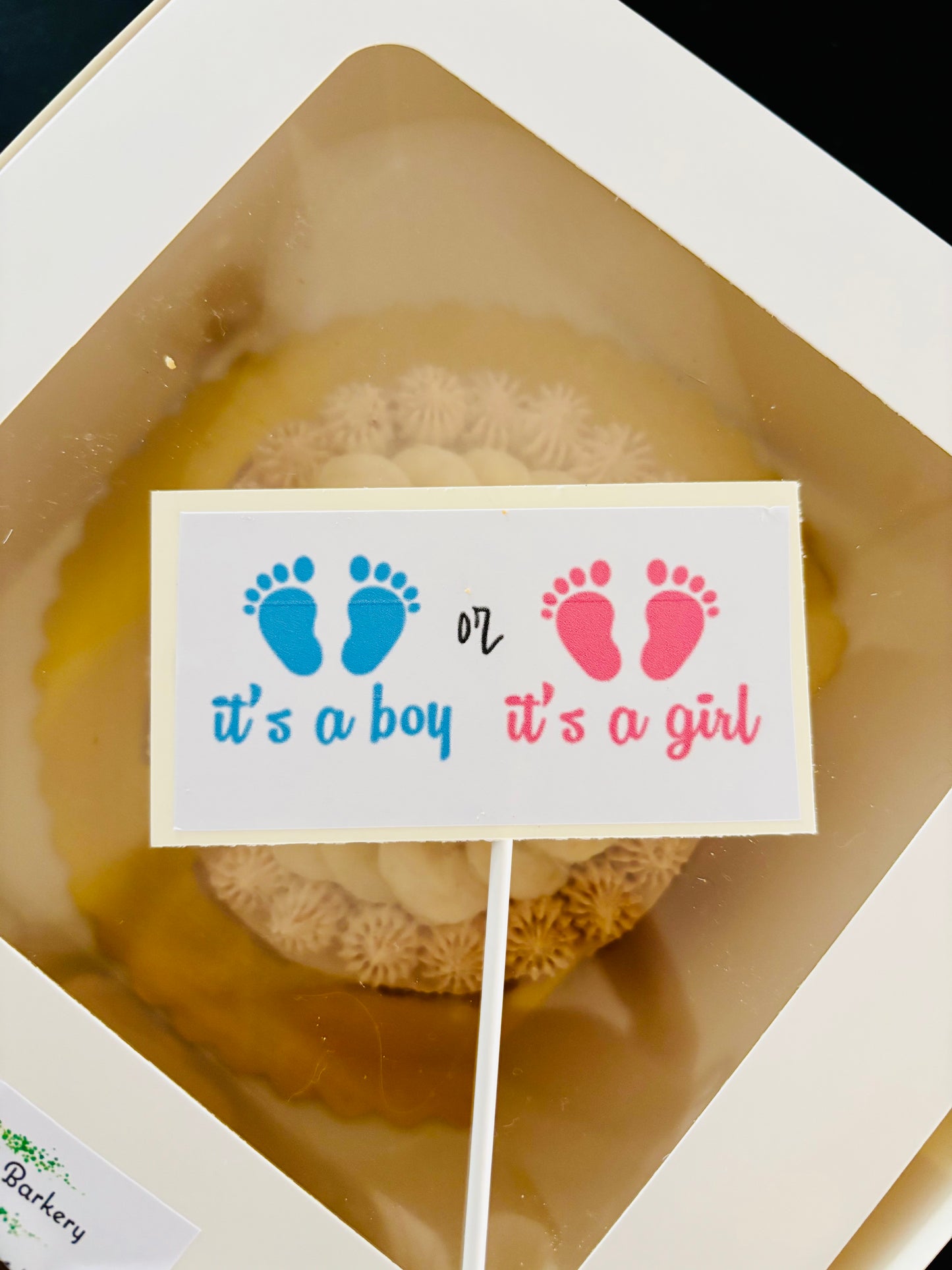 Custom Gender Reveal two-tiered Pup-cakes