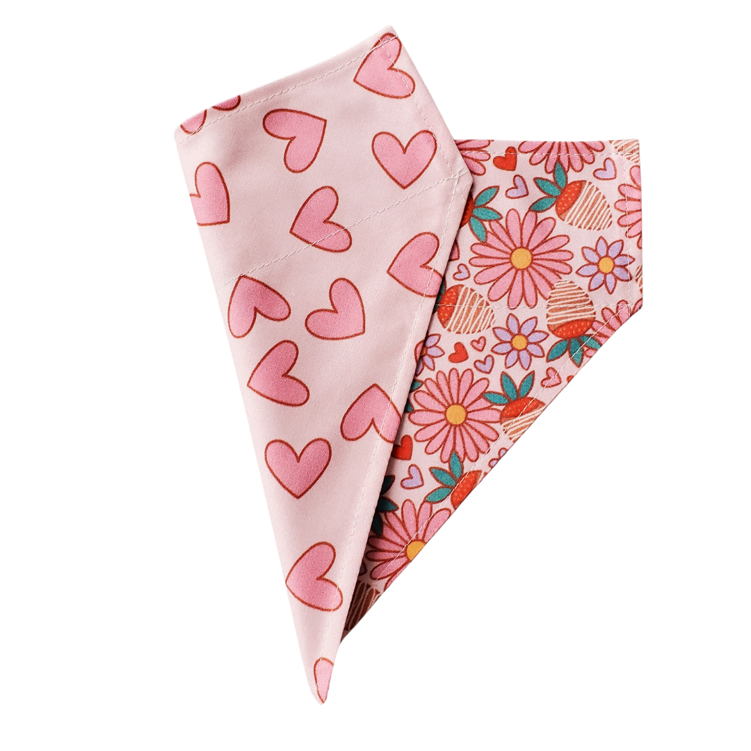 Strawberries & Flowers - Reversible Pet Collar Bandana