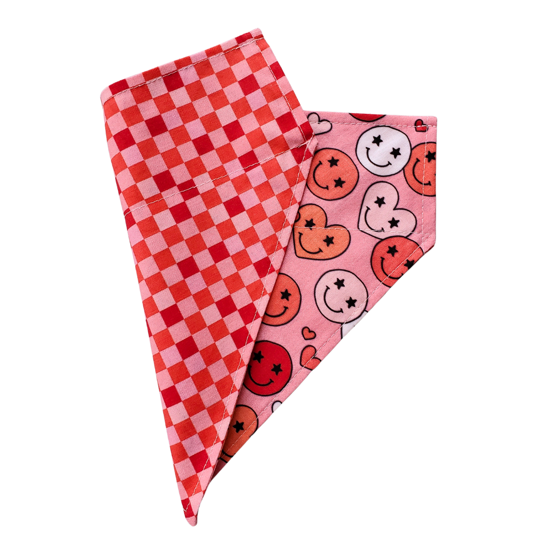 Happy Valentine - Reversible Dog Collar Bandana