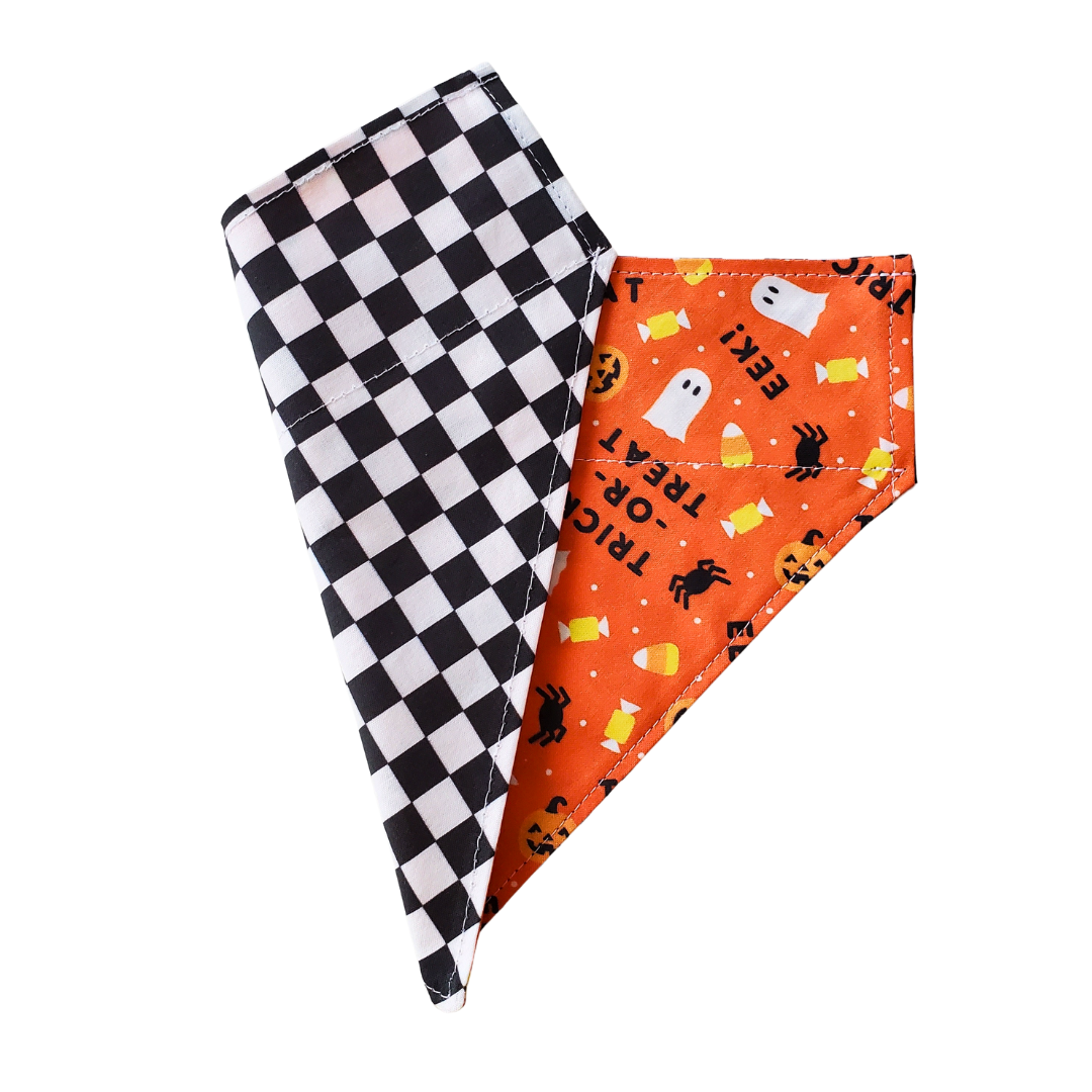Trick-or-Treat - Reversible Dog Collar Bandana