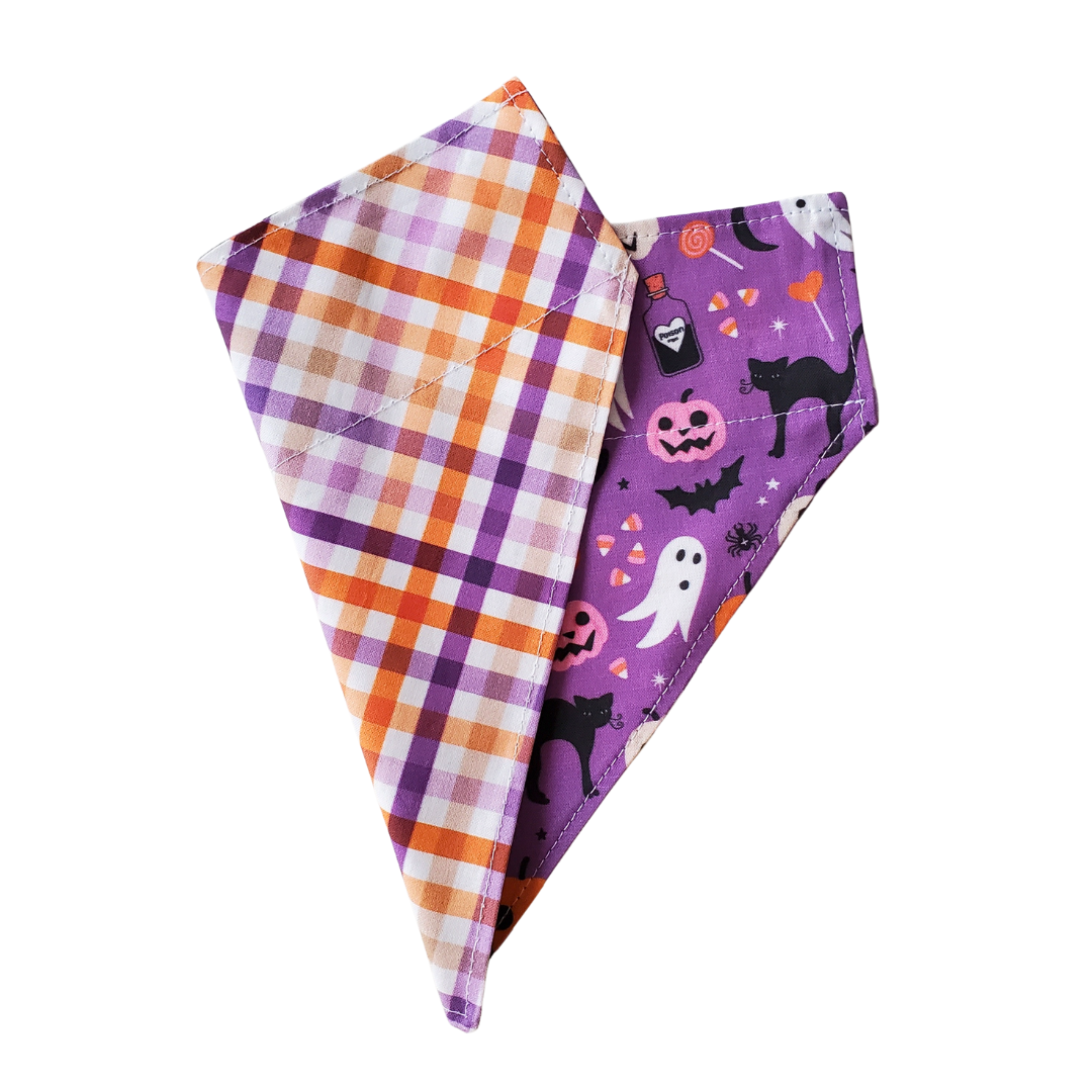 Purple Halloween - Reversible Dog Collar Bandana