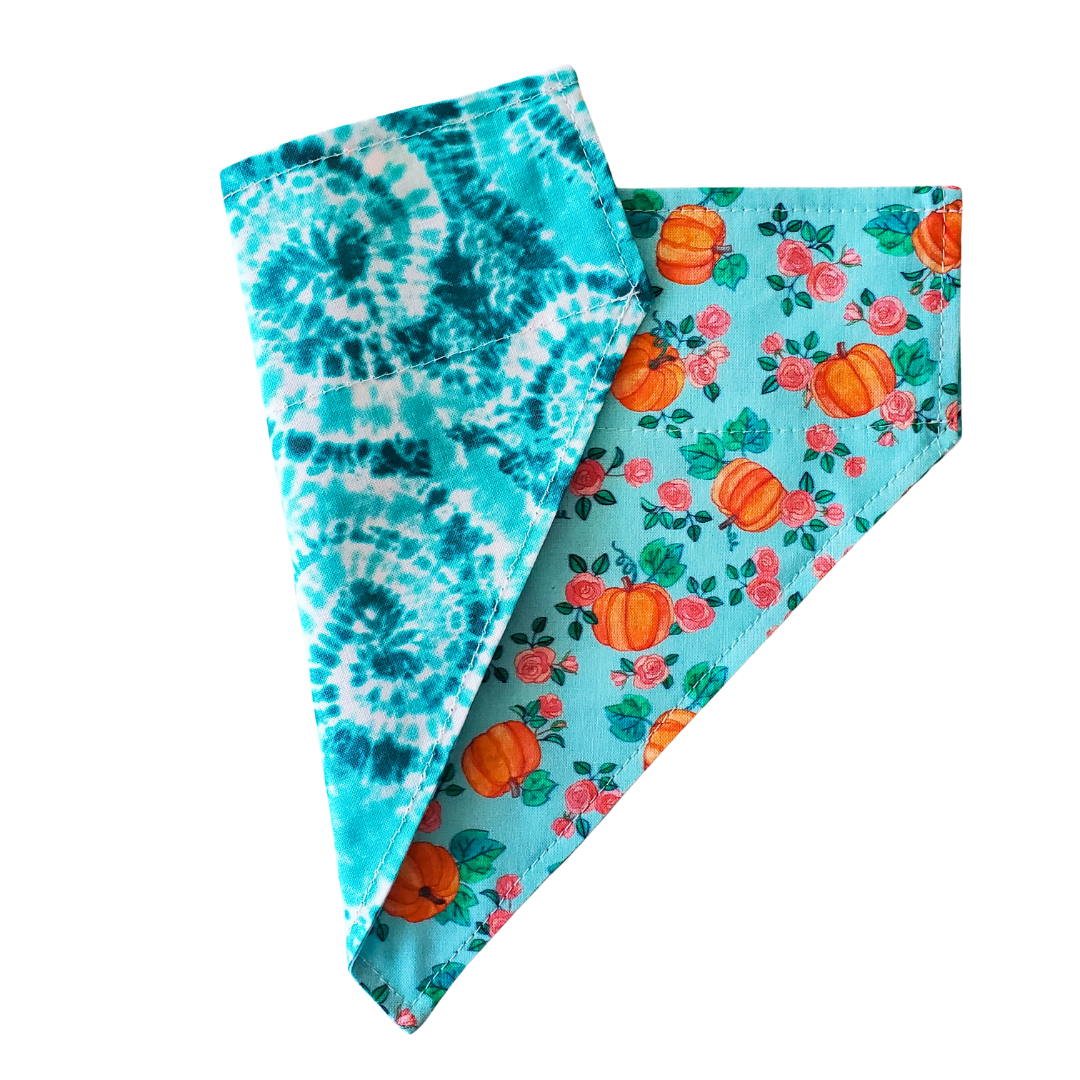 Teal Pumpkin - Reversible Dog Collar Bandana