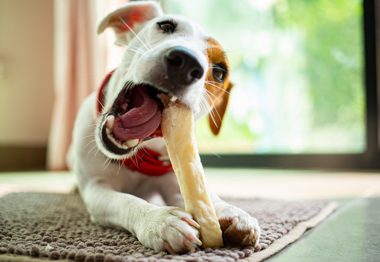 NEW!  Natural Pet Chews