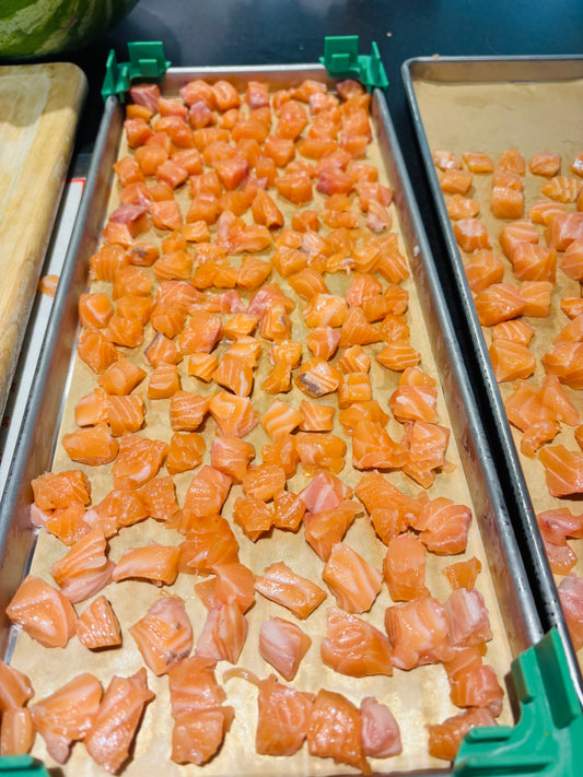 Freeze-dried Norwegian Salmon