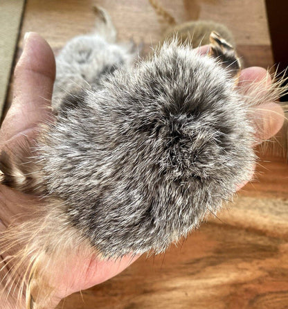 Spinner Cat Toy – Handmade Rabbit Fur & Feather