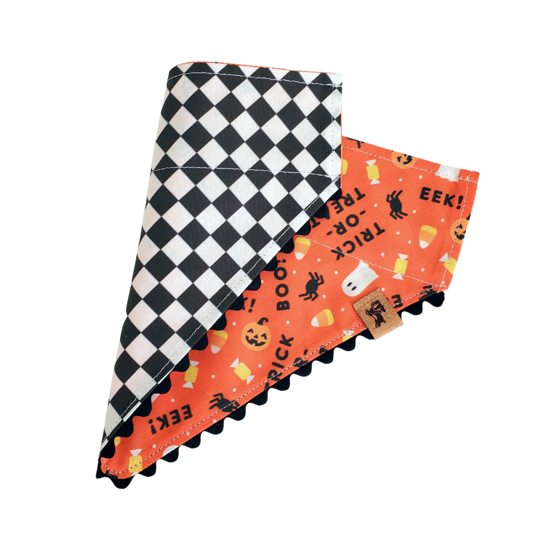 Trick-or-Treat - Reversible Dog Collar Bandana