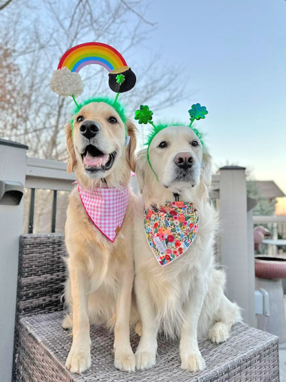 St. Patrick's Day Shamrock Dog Headband