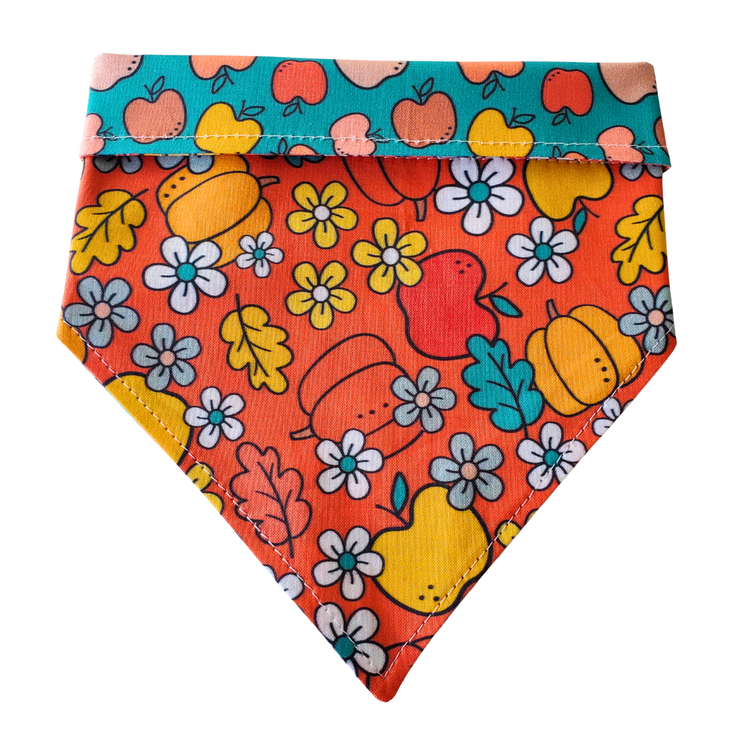 Fall Apple & Pumpkin - Reversible Dog Collar Bandana