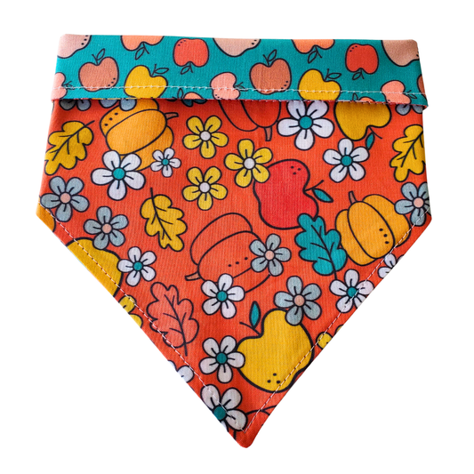 Fall Apple & Pumpkin - Reversible Dog Collar Bandana