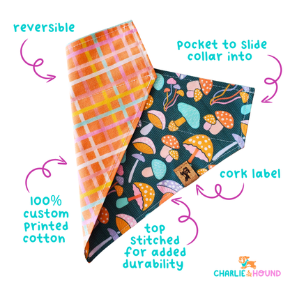 Blue Drinking Buddy - Reversible Dog Collar Bandana