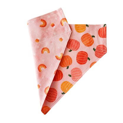 Blush Pumpkins & Rainbows - Reversible Dog Collar Bandana