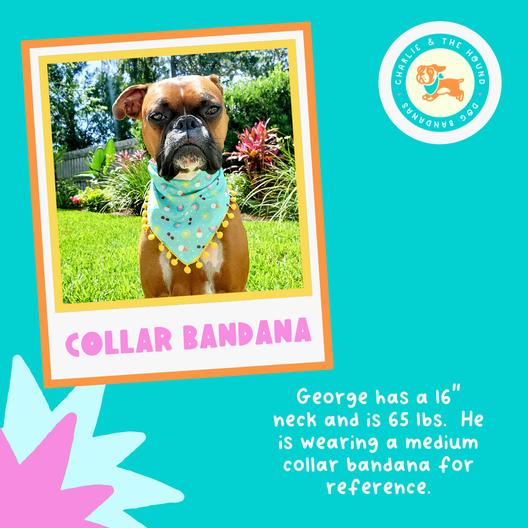 Blue Drinking Buddy - Reversible Dog Collar Bandana