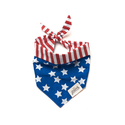 Patriotic USA Bandana