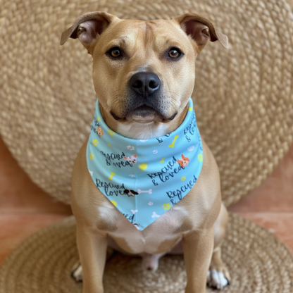 Rescue Pups Mesh Cooling Dog Bandana