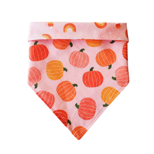 Blush Pumpkins & Rainbows - Reversible Dog Collar Bandana