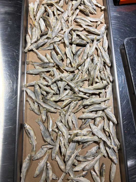 Freeze-Dried North American Minnows