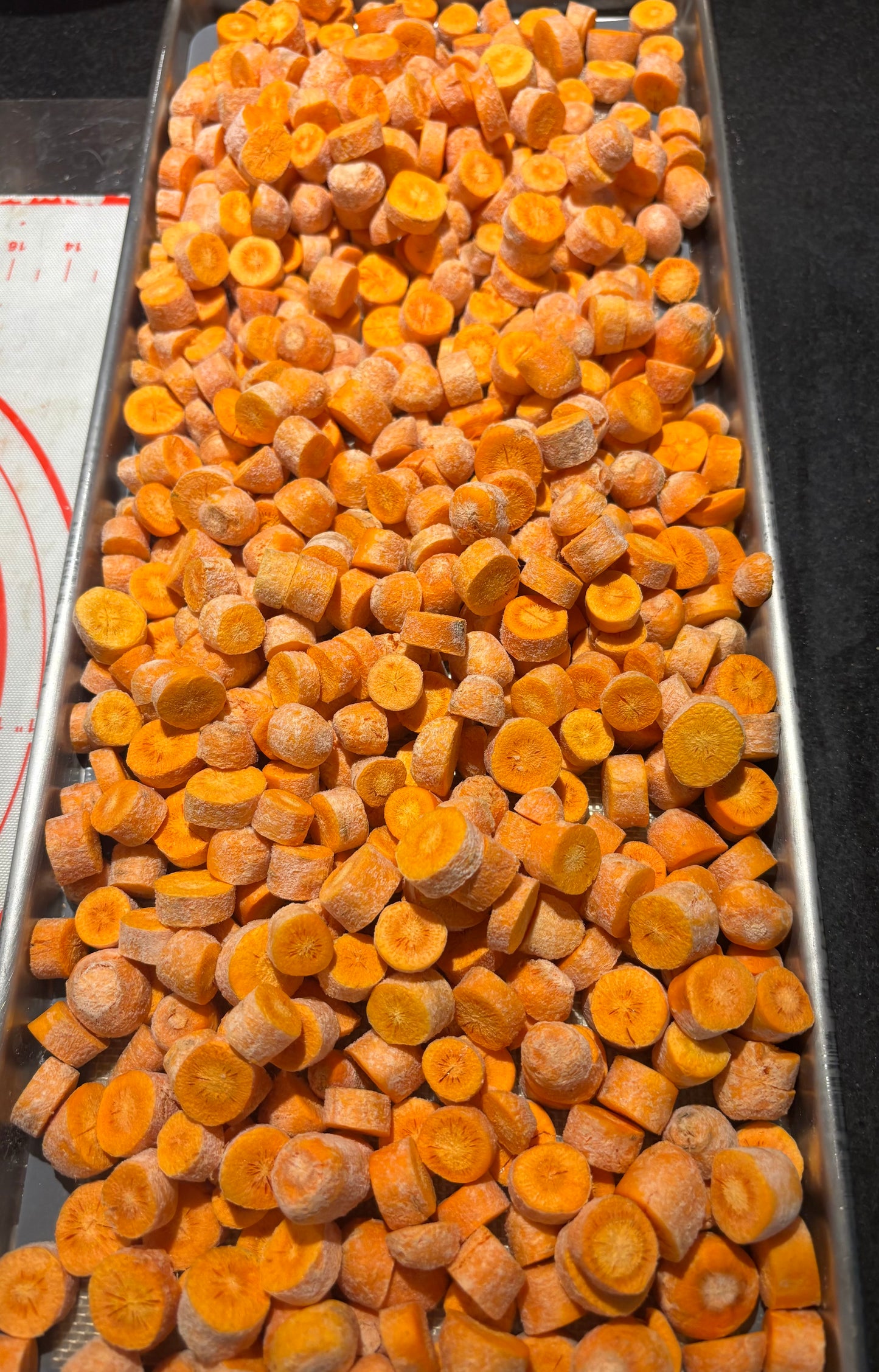 Freeze-Dried Carrots