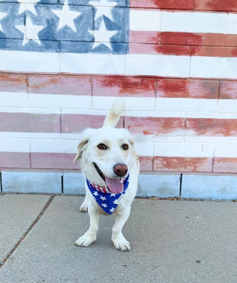 Patriotic USA Bandana