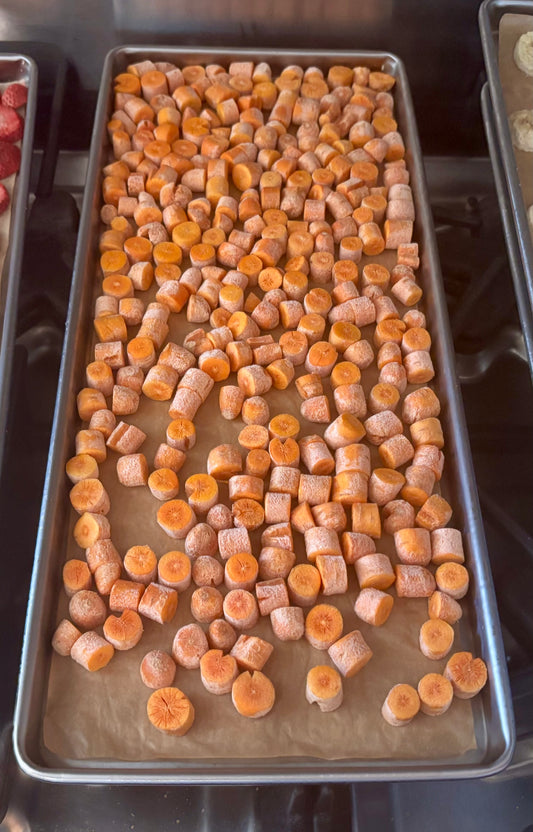 Freeze-Dried Carrots