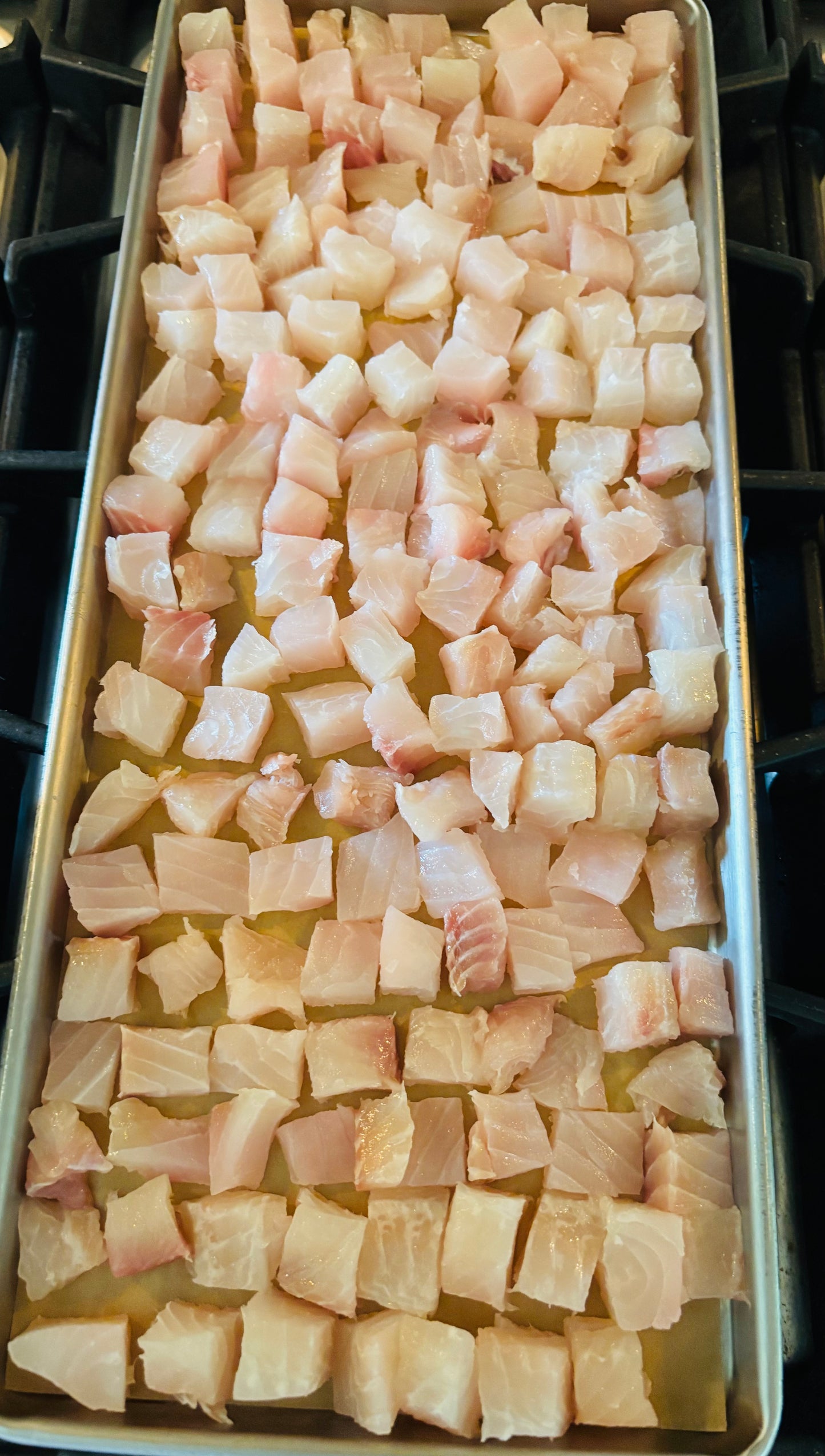 Freeze-Dried Atlantic Cod