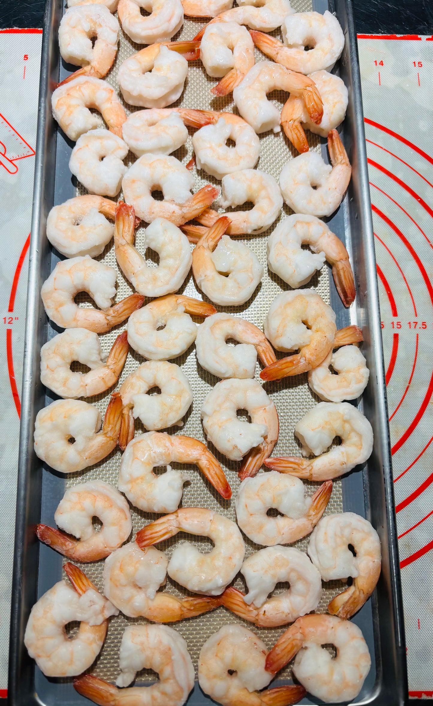 Freeze-Dried Large Shrimp