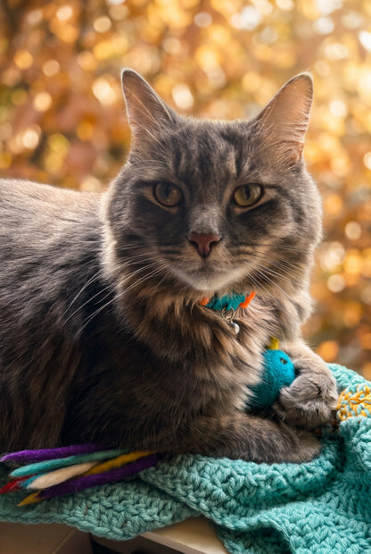 Pounce & Flutter Felt Cat Toy