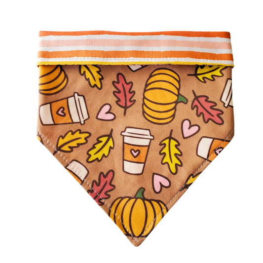 Pumpkin Spice & Stripes - Reversible Dog Collar Bandana