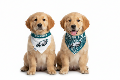 Fly Eagles Fly- Reversible Dog Collar Bandanas