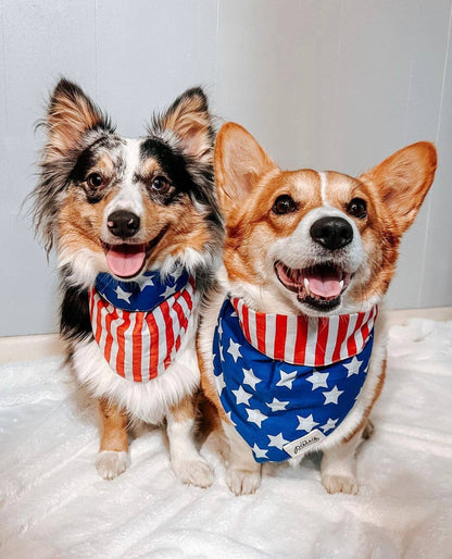 Patriotic USA Bandana