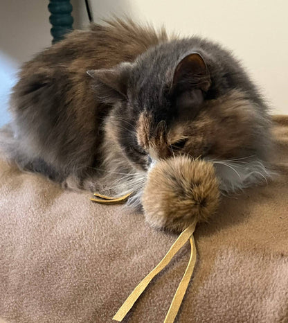 Fur-Fuffle Cat Toy