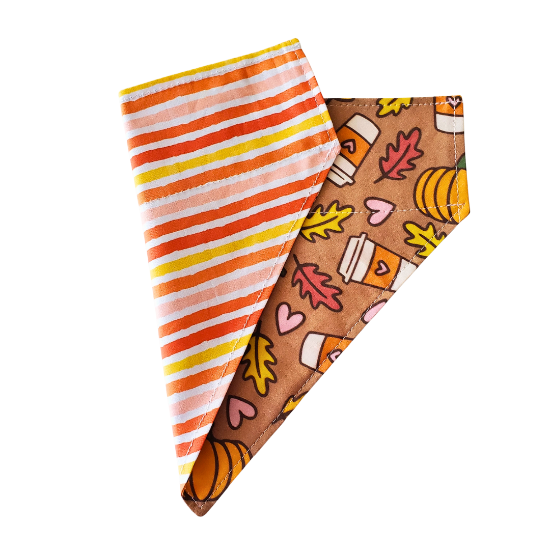 Pumpkin Spice & Stripes - Reversible Dog Collar Bandana